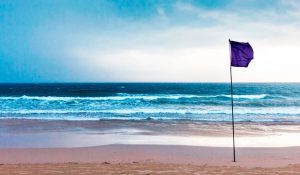 Read more about the article O que a bandeira roxa na praia está tentando comunicar? Saiba o seu significado!