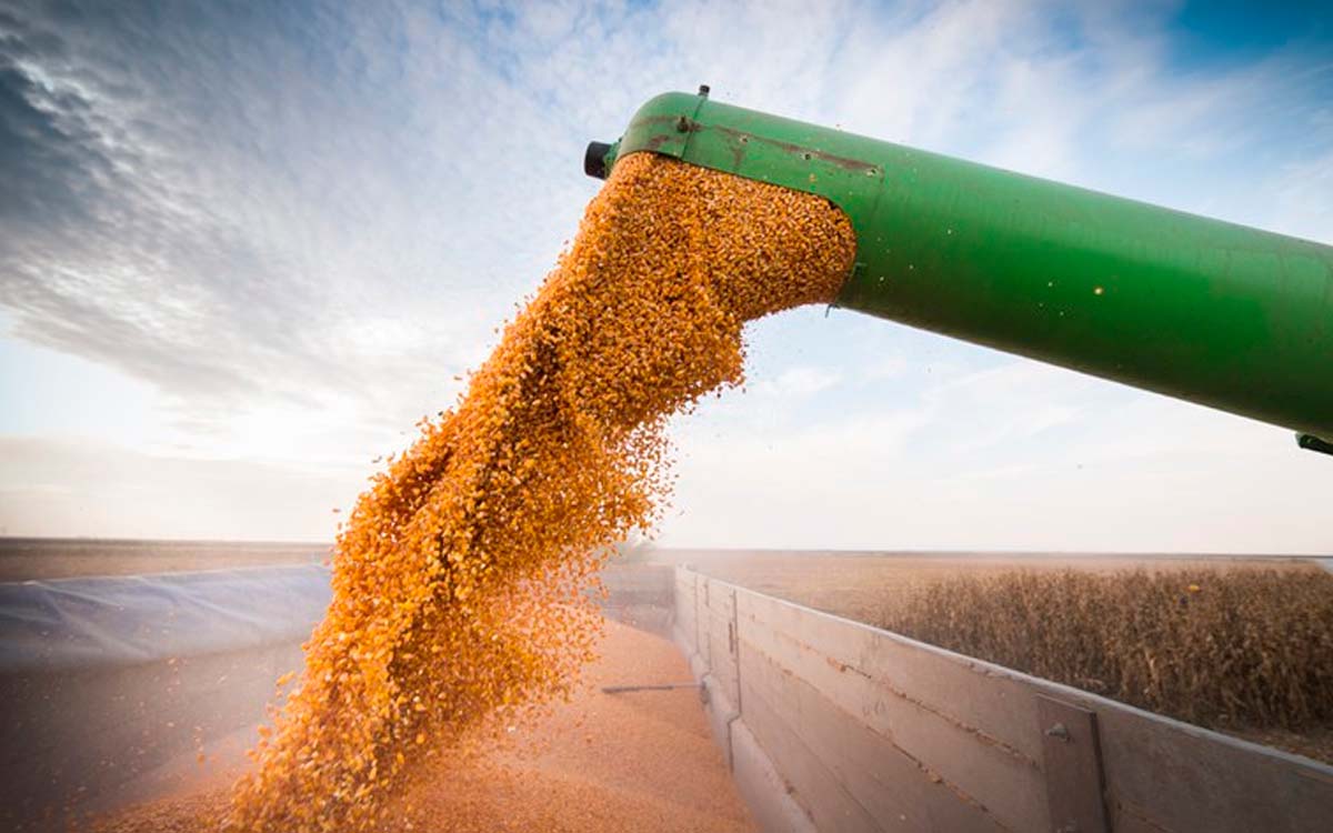 You are currently viewing Aumento do PIB deverá ser liderado pela agropecuária sem impacto na inflação