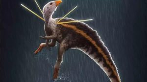 Read more about the article Fóssil de dinossauro traficado para Alemanha desembarca no Brasil