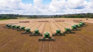 Read more about the article Empresa do agro tem fazendas avaliadas em R$ 10,9 bilhões