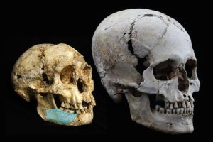 Read more about the article Cientistas reproduzem imagem de Homo floresiensis, o ‘Homem Hobbit’ de 18 mil anos atrás