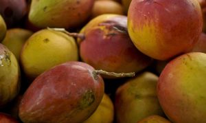 Read more about the article Frutas do Brasil fazem sucesso até mesmo em Bangladesh