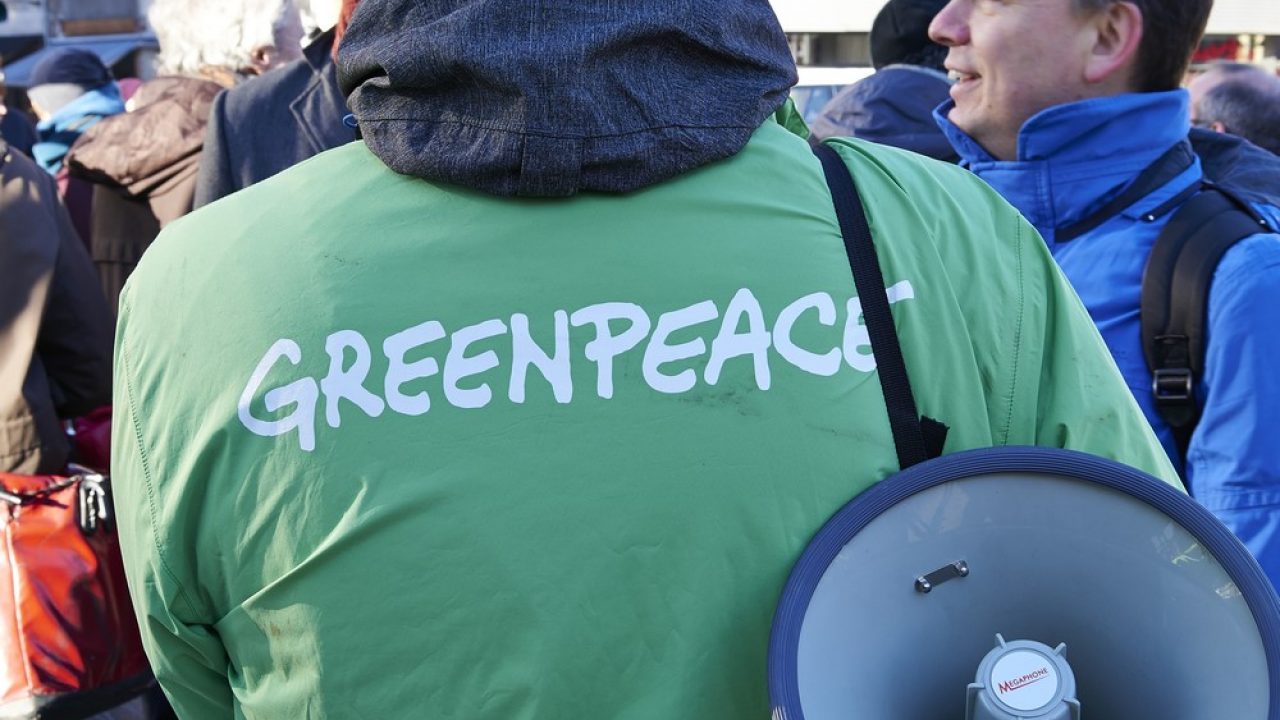 You are currently viewing Greenpeace abre inscrições para projeto de combate às mudanças climáticas
