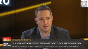 Read more about the article Derrite: ‘Megaoperação no litoral paulista não tem prazo para acabar’