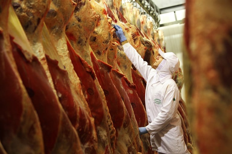 You are currently viewing Exportações de carne bovina desabam em julho