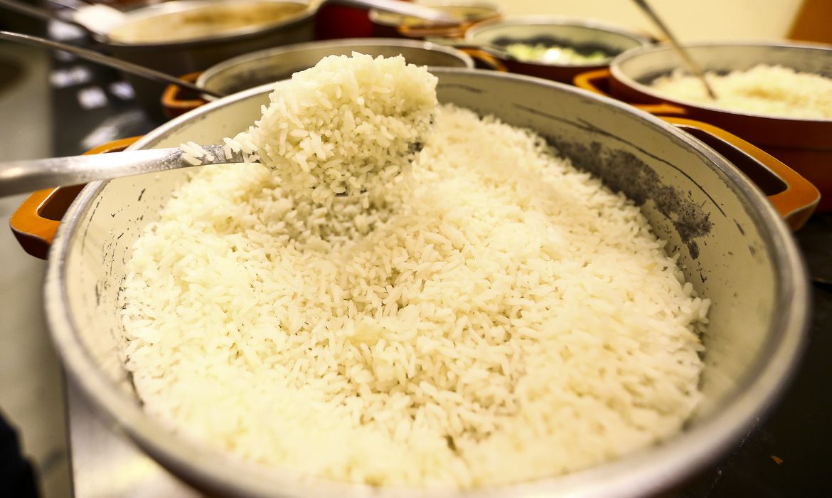 You are currently viewing ONU: preço do arroz é o maior em 12 anos