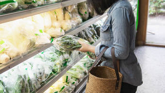 You are currently viewing Saladas prontas vendidas em mercados podem estar cheias de bactérias nocivas à saúde