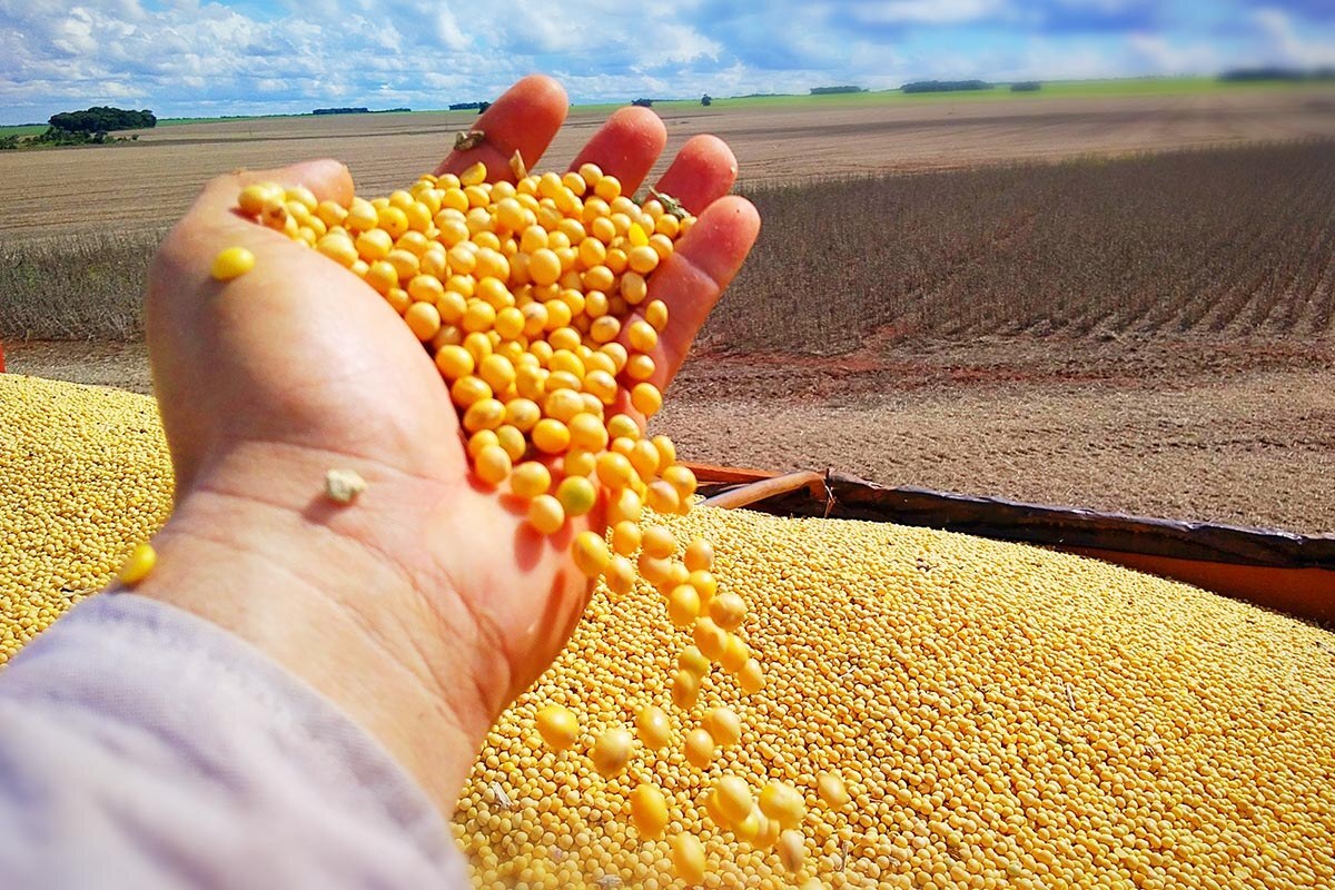 You are currently viewing Agro do Nordeste produz mais soja que a Índia