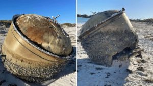 Read more about the article Cientistas desvendam mistério de objeto encontrado em praia australiana