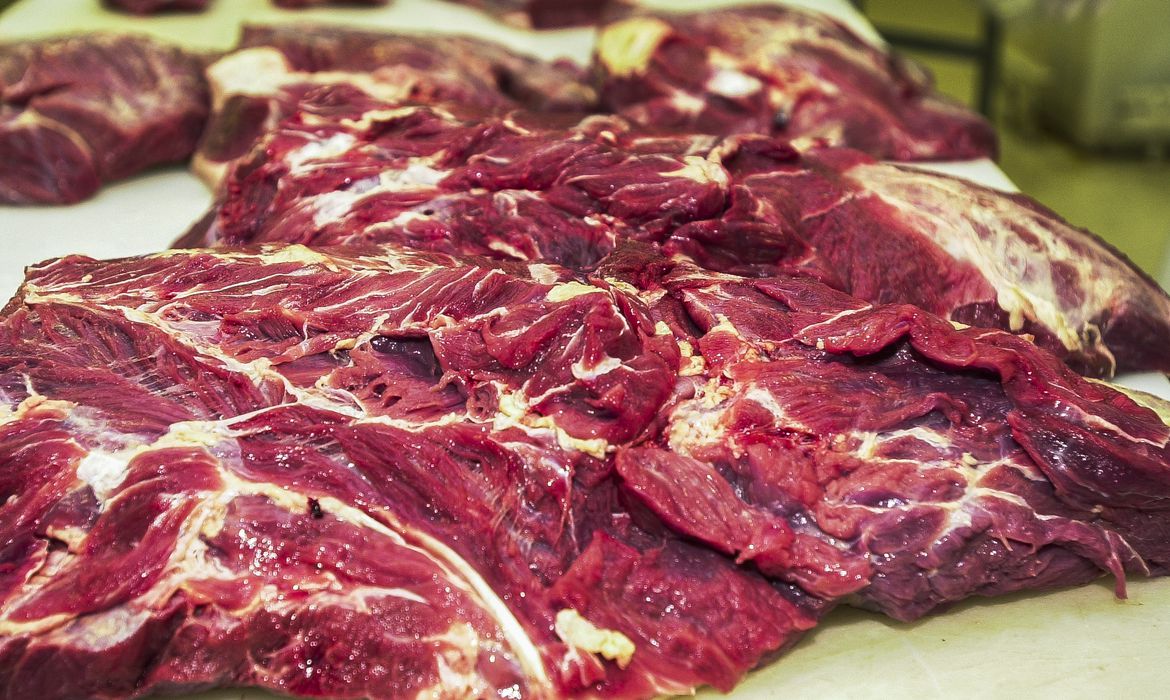 You are currently viewing Argentina nega que suspendeu exportação de carne