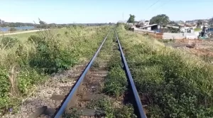 Read more about the article Mulher que morreu atropelada por trem foi jogada em trilho por dívida de R$ 150