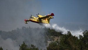 Read more about the article Incêndio florestal na Grécia queima área maior que a cidade de Nova York (EUA)