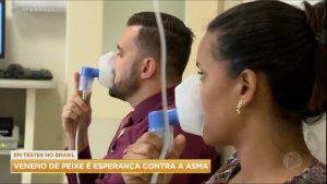 Read more about the article Cientistas brasileiros estudam novo tratamento para asma com veneno de peixe