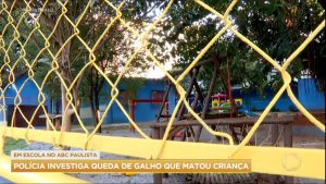 Read more about the article Queda de galho que matou criança em escola no ABC paulista é investigada pela polícia