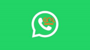 Read more about the article WhatsApp Gol: Telefone, SAC 0800, e-mail, Chat, ouvidoria e contatos!