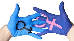 Read more about the article Diferenças sexuais não se importam com ideologias