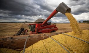 Read more about the article Agricultura impulsiona o PIB do agronegócio