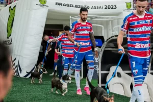 Read more about the article Fortaleza faz ação em prol da adoção de animais antes de jogo contra América-MG