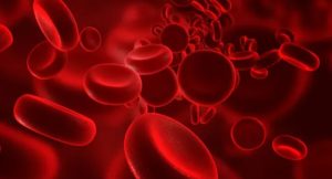 Read more about the article Questões resolvidas sobre tecido sanguíneo