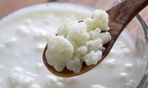 Read more about the article Você conhece o kefir? saiba por que ele é o queridinho dos nutricionistas para acelerar o metabolismo