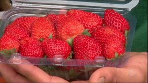 Read more about the article Chuvas no Sul do país provocam aumento dos preços das frutas