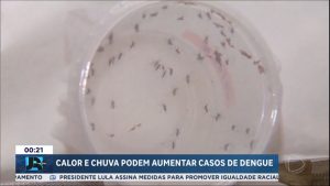 Read more about the article Calor e chuva podem aumentar casos de dengue no país