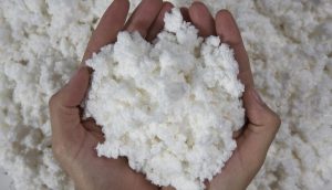 Read more about the article Saiba como Mato Grosso do Sul tornou-se líder nas exportações de celulose
