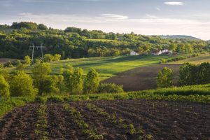 Read more about the article Governo de SP anuncia pacote de ações em prol do agro paulista