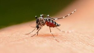 Read more about the article Profissionais de saúde alertam para ressurgimento do tipo 3 da dengue
