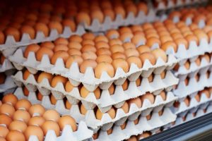 Read more about the article Brasil registra a maior produção de ovos da história