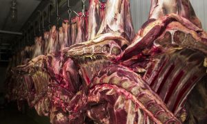 Read more about the article Exportações de carne bovina desabam em 2023