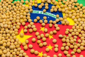 Read more about the article Brasil amplia importação de soja para China, mas diminui embarques aos EUA