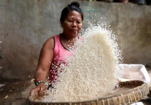 Read more about the article A China está de olho no arroz do Brasil