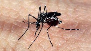 Read more about the article Governo do Distrito Federal declara situação de emergência por causa da dengue
