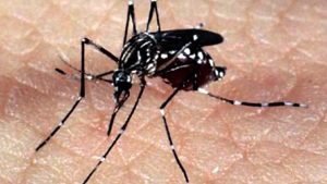 Read more about the article Goiás é estado com mais municípios que vão receber a vacina contra a dengue no país