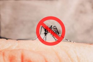 Read more about the article Não é qualquer repelente! Saiba qual é o IDEAL para afastar o mosquito da dengue