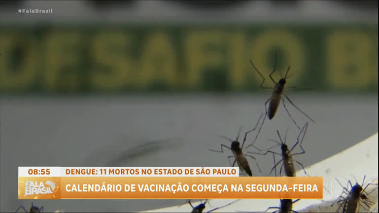 You are currently viewing Sobe para 11 o número de mortos pela dengue em São Paulo