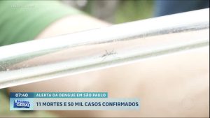 Read more about the article Estado de São Paulo tem 11 mortes confirmadas e mais de 50 mil casos de dengue