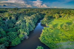 Read more about the article Amazônia em perigo: alerta feito há 15 anos é confirmado por novo estudo