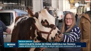 Read more about the article Vaca é eleita musa de feira agrícola na França
