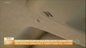 Read more about the article Repelente caseiro contra a dengue funciona? Especialista alerta para o perigo de produtos não aprovados