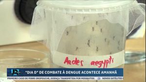 Read more about the article Dia D nacional de combate à dengue será realizado no próximo sábado (2)