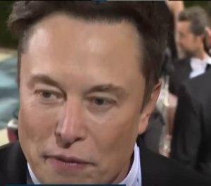 Read more about the article Elon Musk não é mais a pessoa mais rica do mundo; veja quem é o novo líder