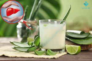Read more about the article Aloe vera faz mal para o fígado? Entenda os efeitos colaterais da babosa