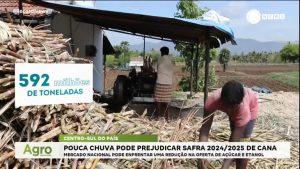 Read more about the article Pouca chuva pode prejudicar safra 2024/2025 de cana-de-açúcar no centro sul do país