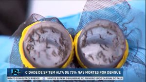 Read more about the article Sobe para 33 o número de mortes por dengue na cidade de São Paulo